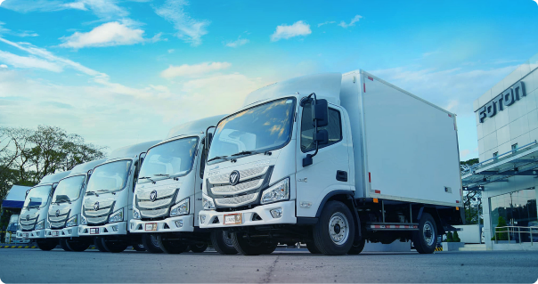 Light Duty Truck 